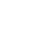 icons8-truck-100 (1)